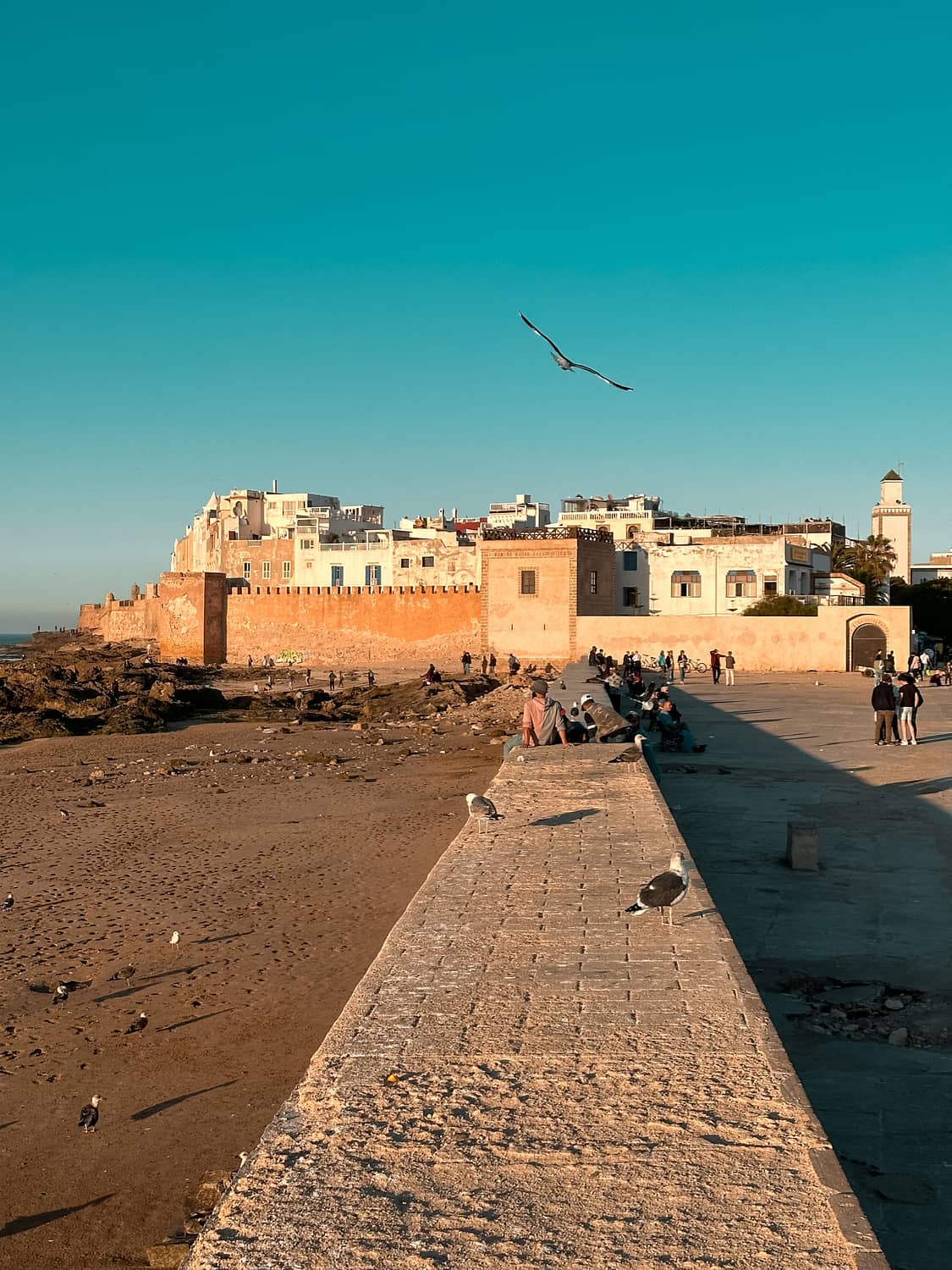 Essaouira city guide